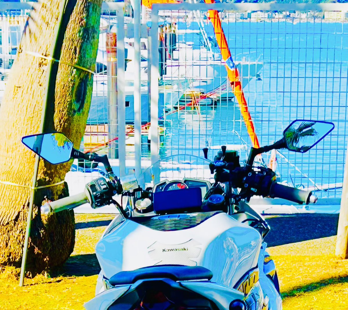 🌴タケシ🌴 (@TAKE_RIDER_) / Posts / X