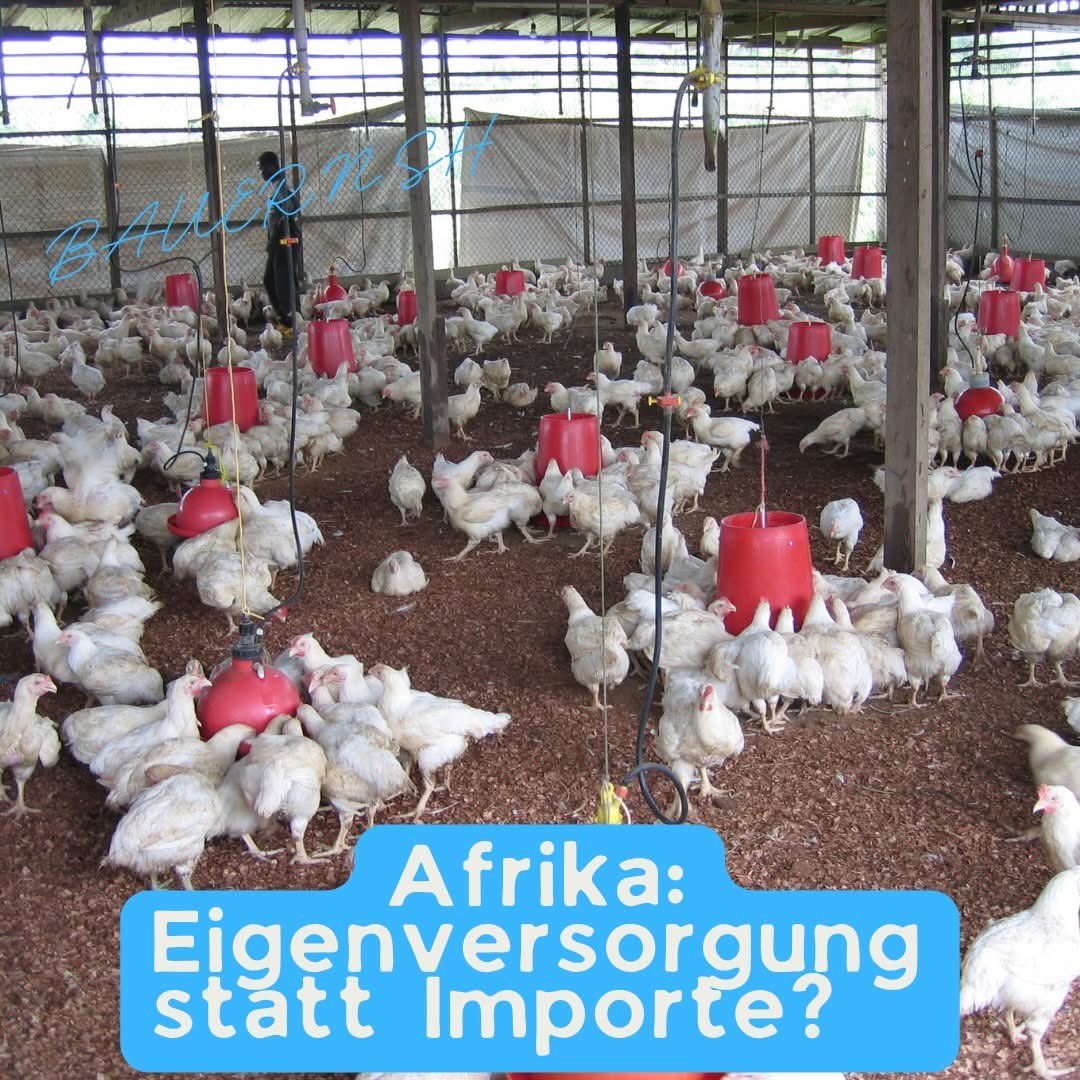 Bauern.SH tweet media