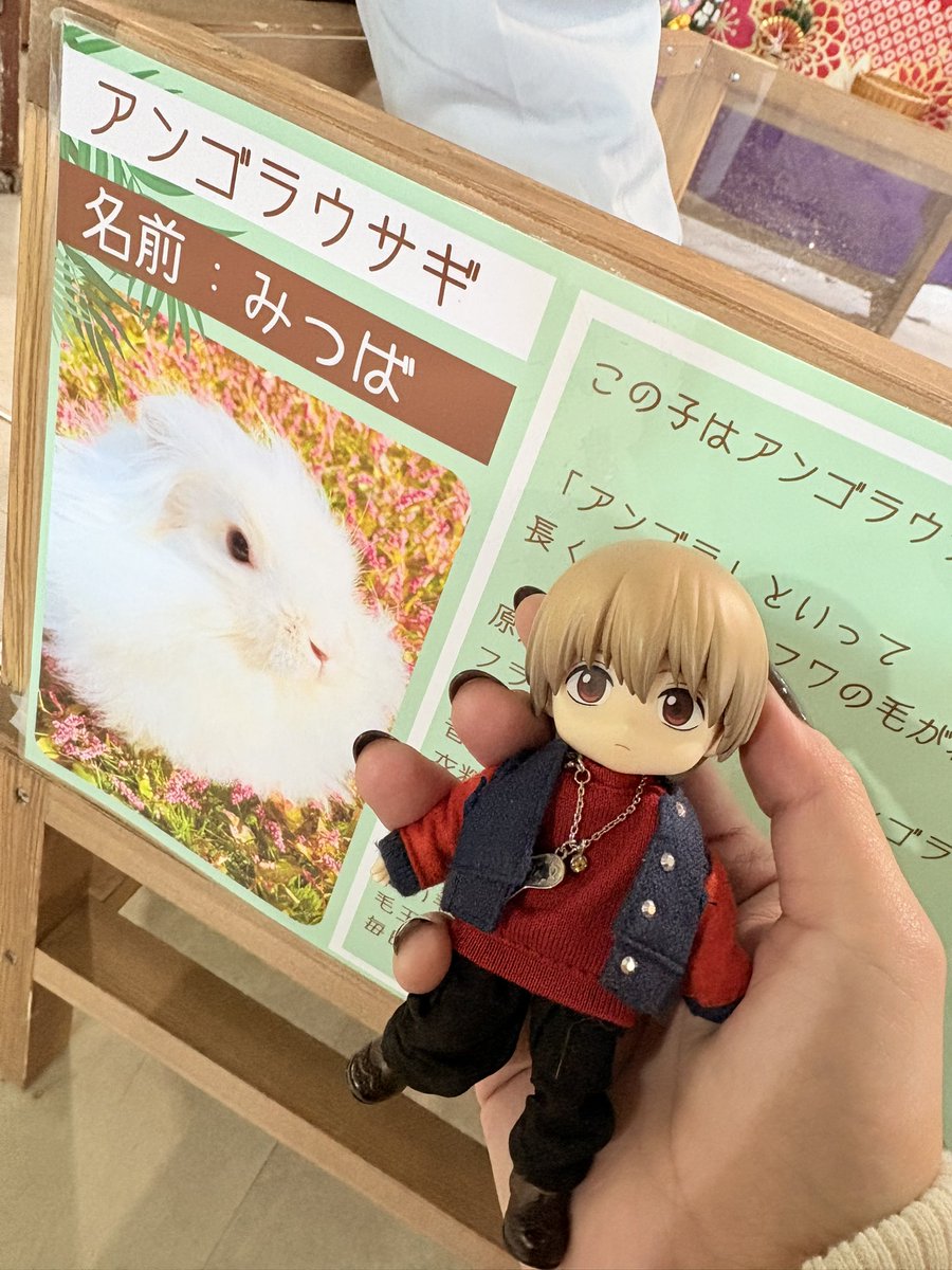 まさかの☘️さんと同名のうさぎさんいた