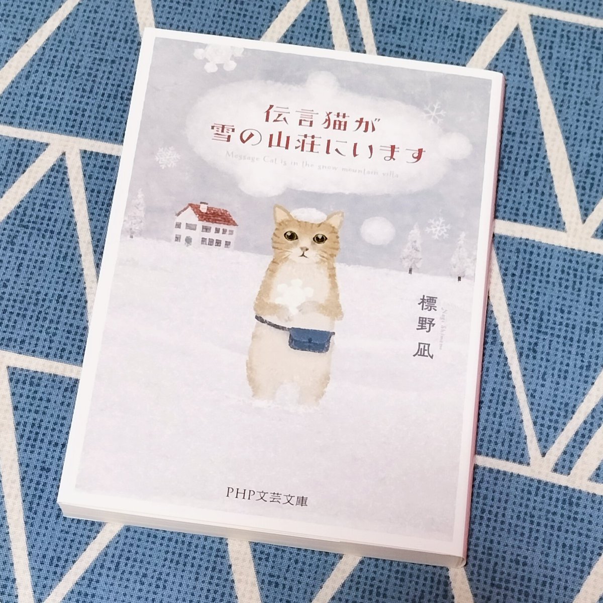 標野凪『伝言猫が雪の山荘にいます』 #読了 

いまは会えない人の言葉を伝える「伝言猫」のふー太が、人々集う雪の山荘へ。ミステリ好きのふー太は事件を期待するが……。魅力的な謎(読者への挑戦状つき)と素敵な真相もあり、猫のかわいさも詰まっていて心がほっとする一冊です。
