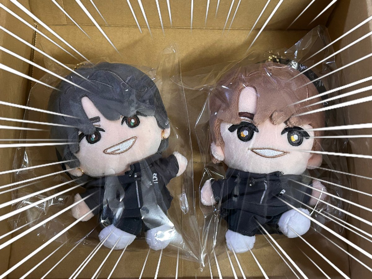 Macky様 コンビニ用　２つ目 やっと我が家に来てくれた〜！ 早く欲しくてとりあえずこの2体とペンラ