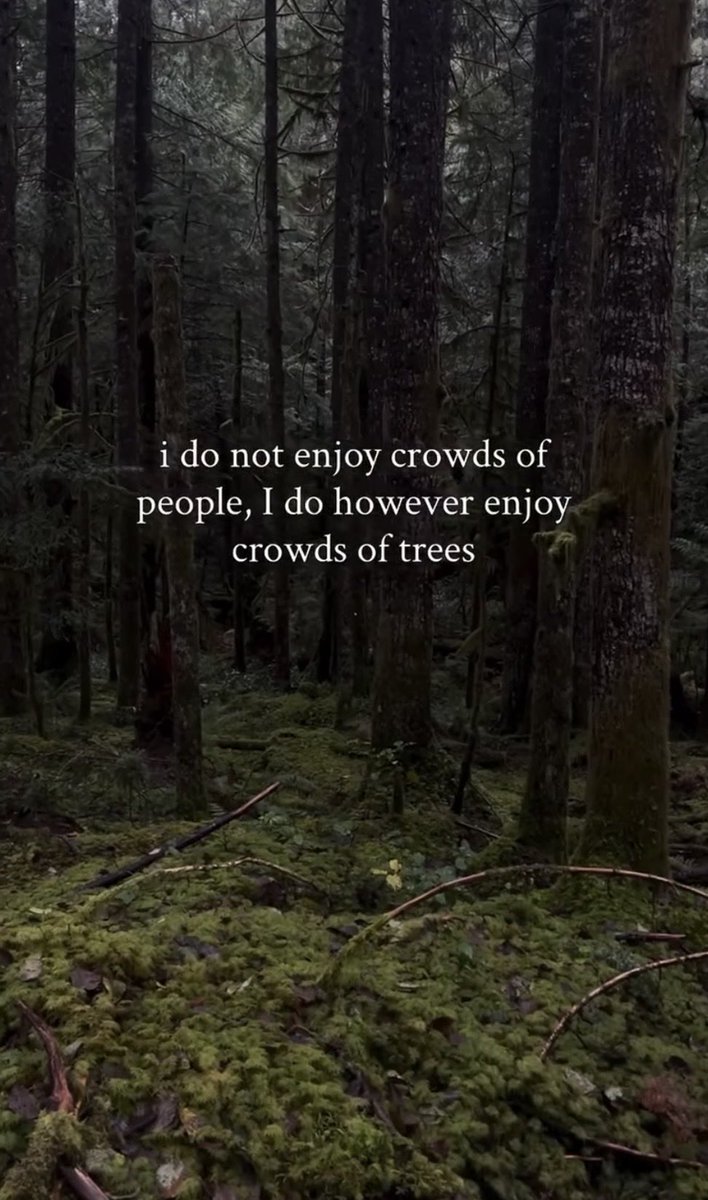 S.B. 🌱⭕️🇳🇱🏳️‍🌈🇺🇦🇪🇺 tweet media