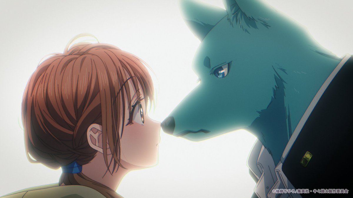 kimikoe_news's tweet photo. ─ · ─ · ─ · ✿ · ─ · ─ · ─

TVアニメ
#キミと越えて恋になる
　　　最終話💐放送中!!

─ · ─ · ─ · ✿ · ─ · ─ · ─

第12話 TOKYO MXで放送スタート！
コメントや感想は
【#キミ越えアニメ】にて
お待ちしています🌼 https://t.co/6CjV2vRVMf