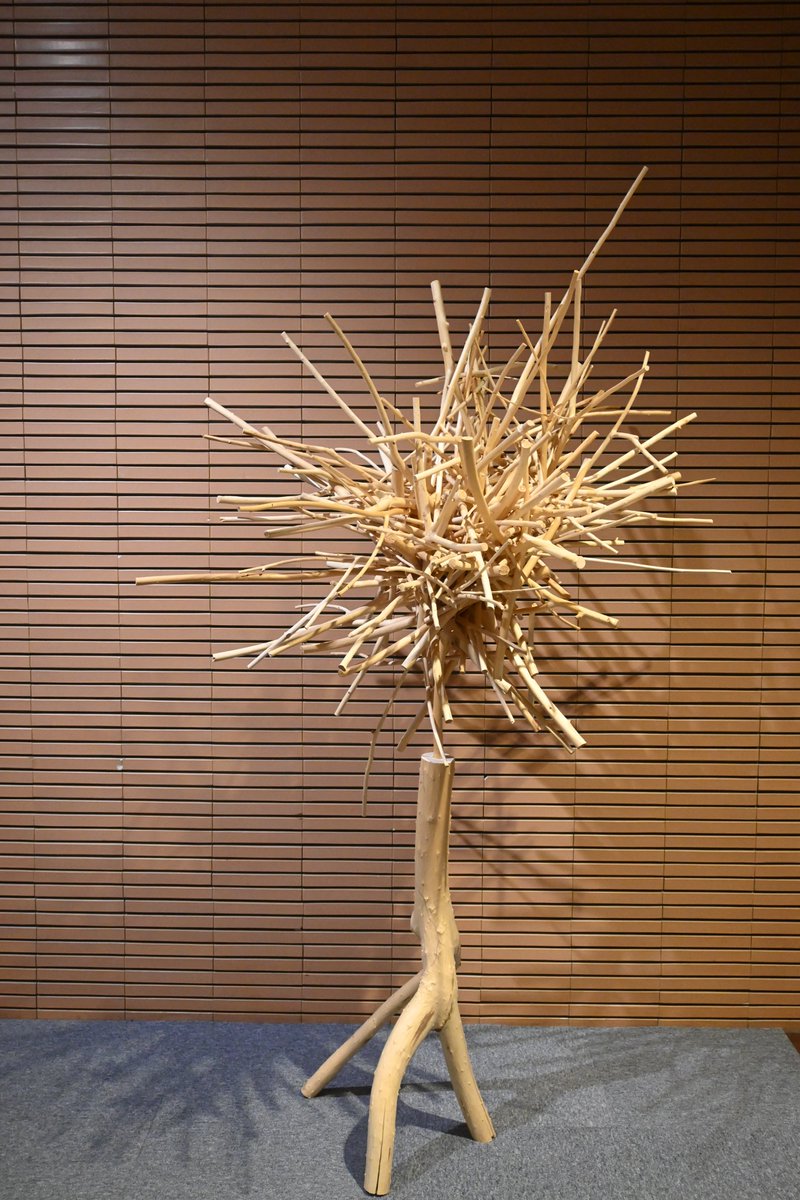 【＃今日の樹華 】
13日目。
ピーンとアンテナを張ったような長い枝が注目ポイントです。全体的にボリュームも増しました。
明日は年内最後の更新です！

＃旭川美術館　＃砂澤ビッキ　＃砂澤ビッキの生きた時代