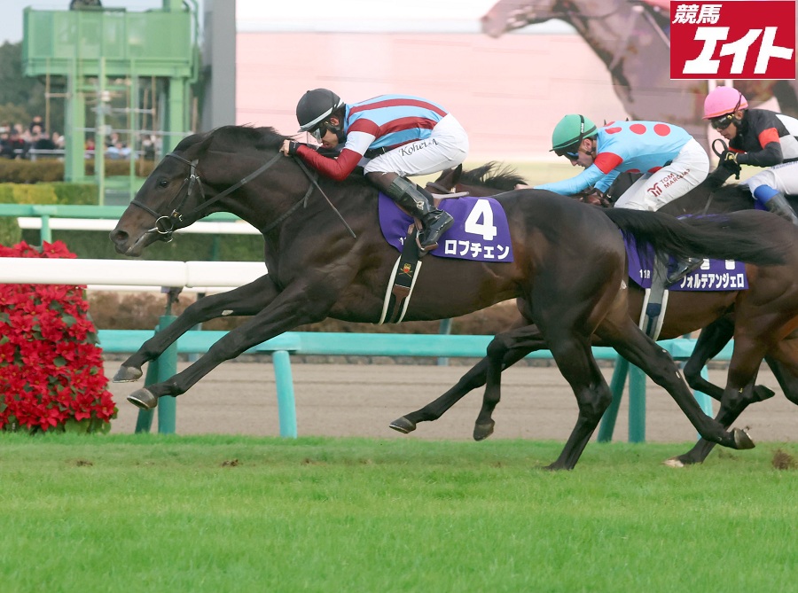 競馬エイト公式 (@keiba_eight) / Posts / X