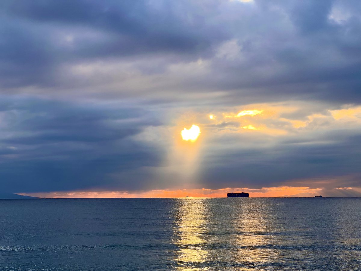 moaton's tweet image. 