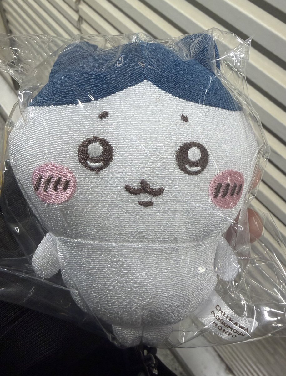 パチワレちゃん (@waikikiyade) / Posts / X