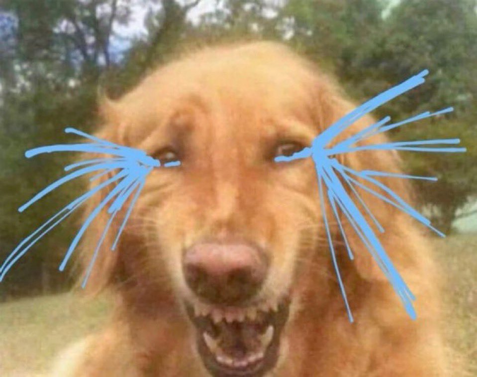 무대를사랑하잖아…….
팬들을사랑하잖아……………..