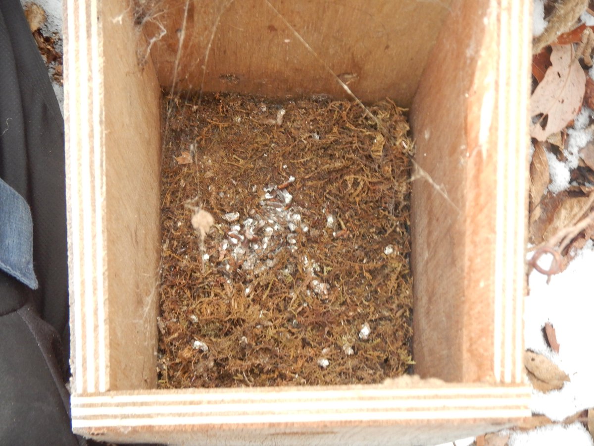 本日ネイチャーセンターサポーターの皆さんと、去年の活動時に製作してかけた巣箱のメンテナンスを行いました。
内一か所で、営巣に利用したのか巣材がぎっしり詰まった巣箱がありました！
今後も引き続き、サポーターの皆さんと管理を続けていきます。
#苫小牧 
#ウトナイ湖 
 #ボランティア活動