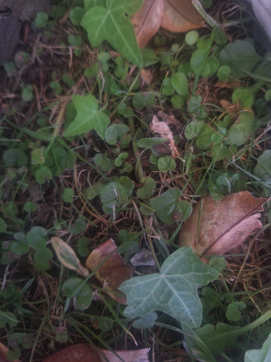 keep gf in here sometime