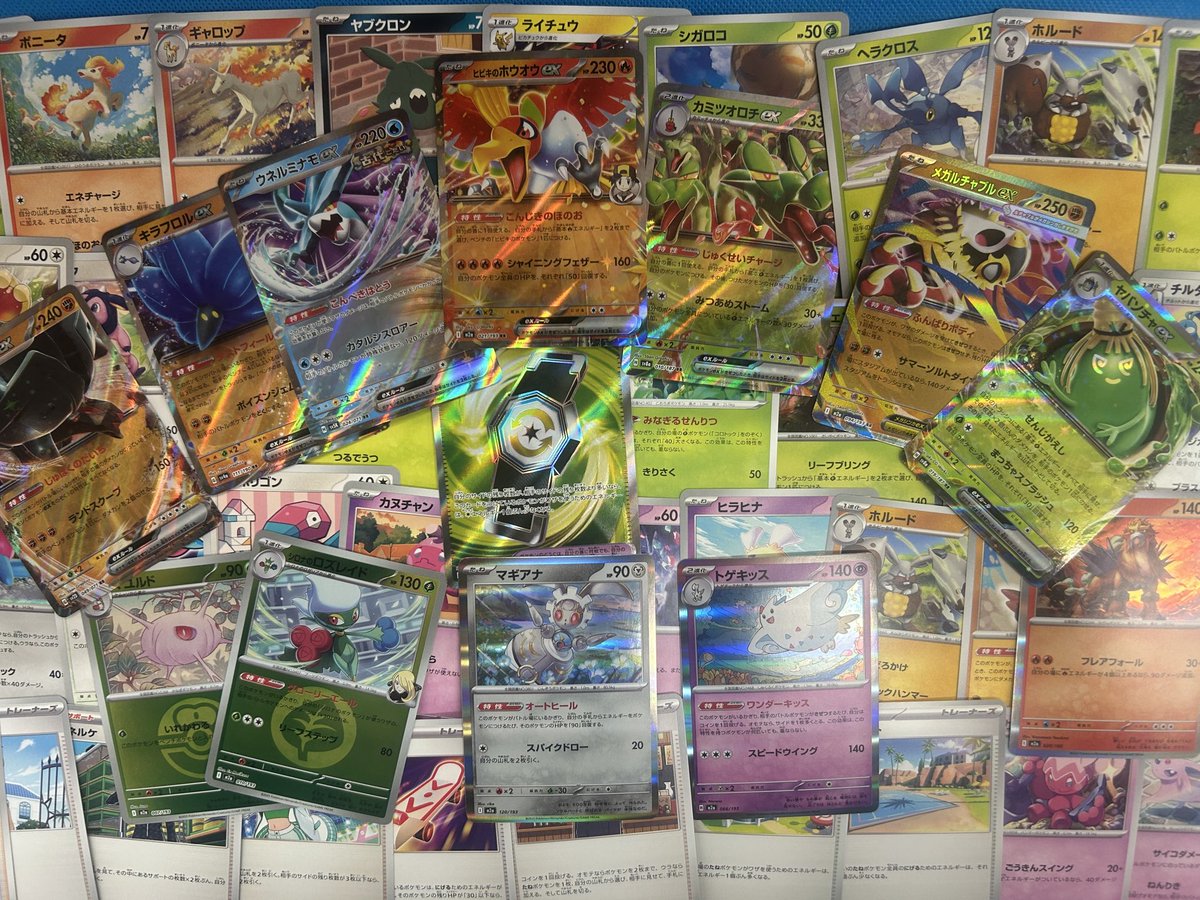 ポケカ、デュエマ、ワンピカード、遊戯王 🔥ストレージコーナー🔥 #遊戯王 #ポケカ #デュエマ #ワンピースカード