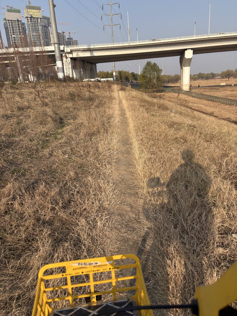 二七长江大桥。

武汉这个高层建筑密度看得我密集恐惧症都犯了
