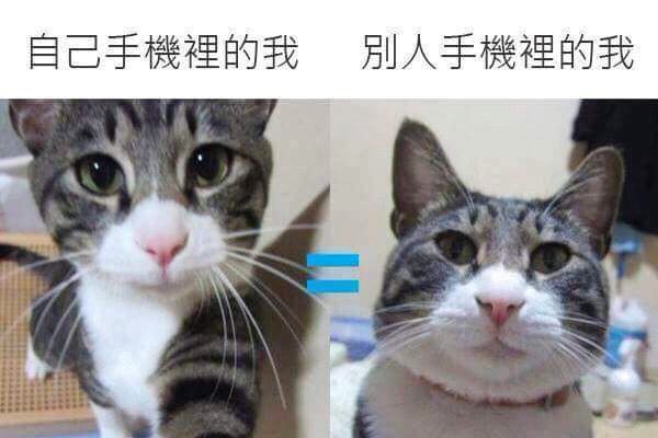 很多網紅
真的看到本人後
實在要讚嘆科技好強大

還好我是表裡如一的醜1