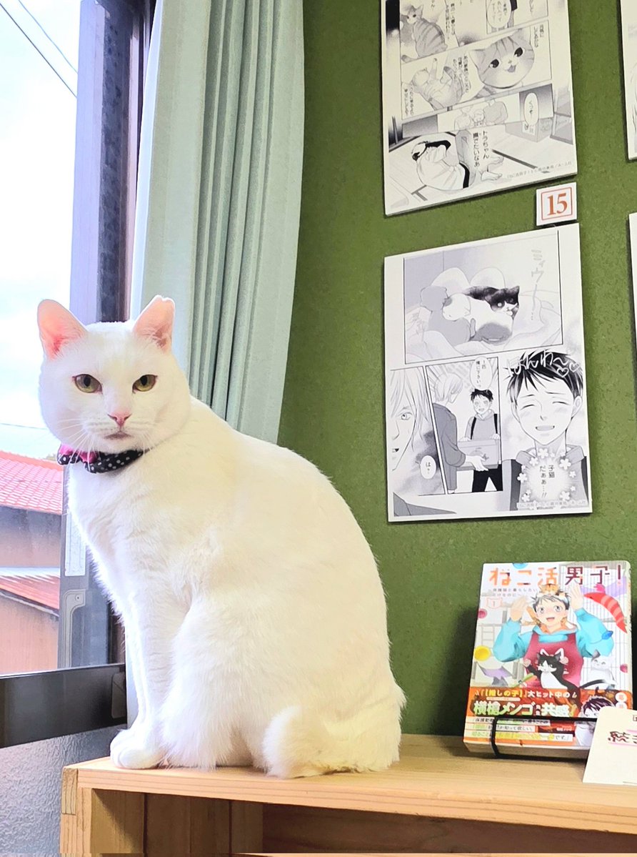 これにて年内営業を終了いたします。 本年もありがとうございました