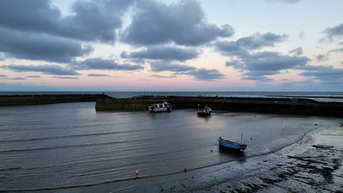 Dr Simon tweet media