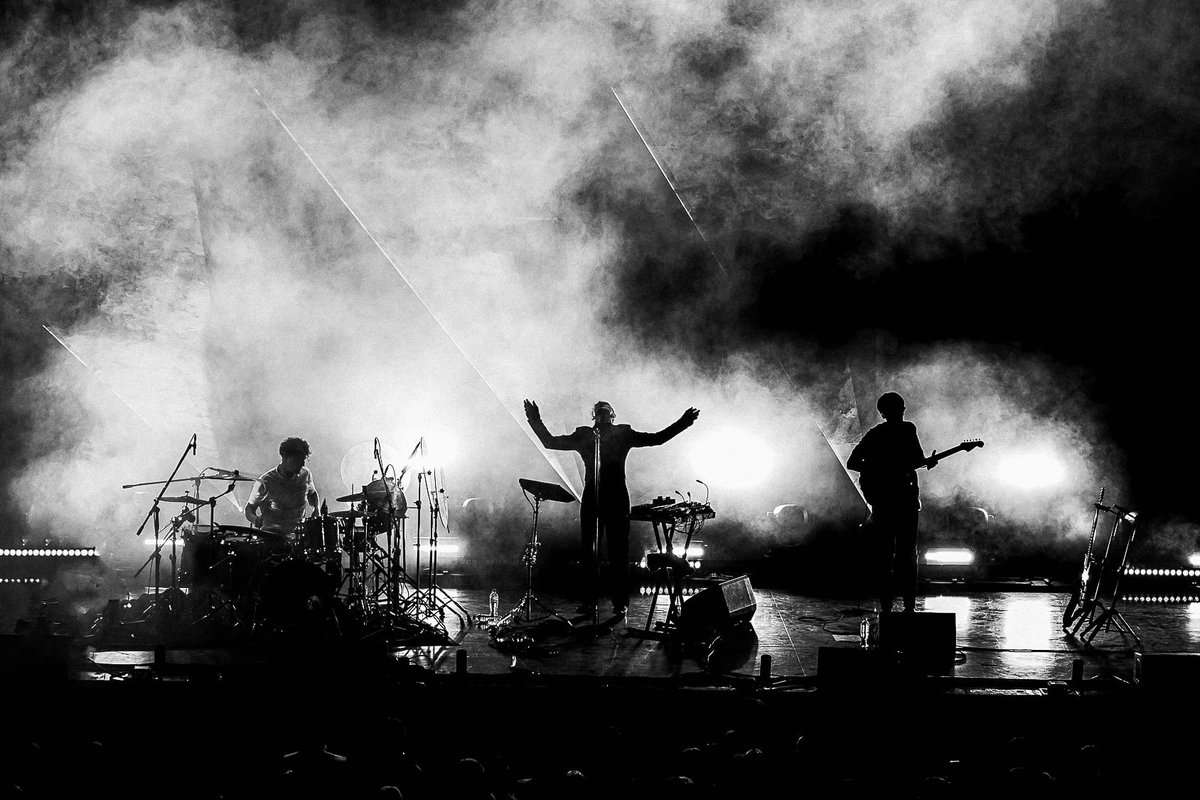 Дельфин tweet media