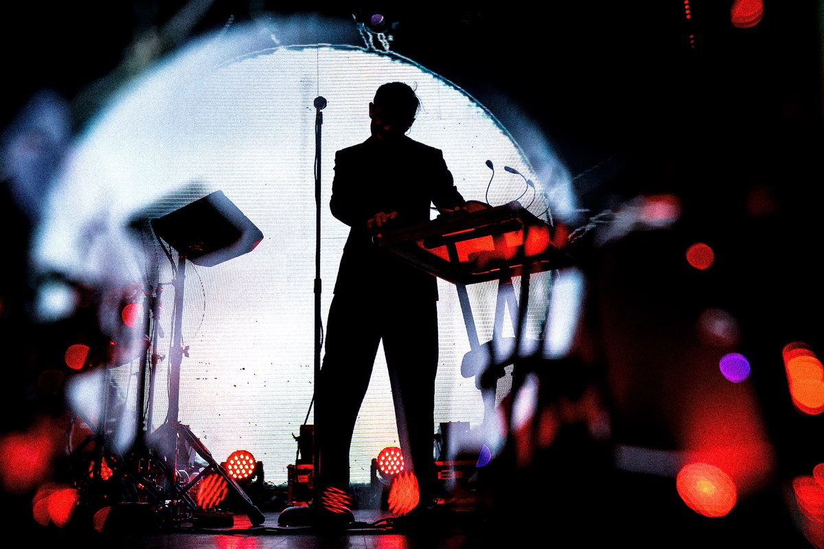 Дельфин tweet media