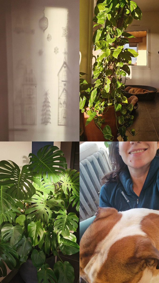 Miss Moneypenny tweet media