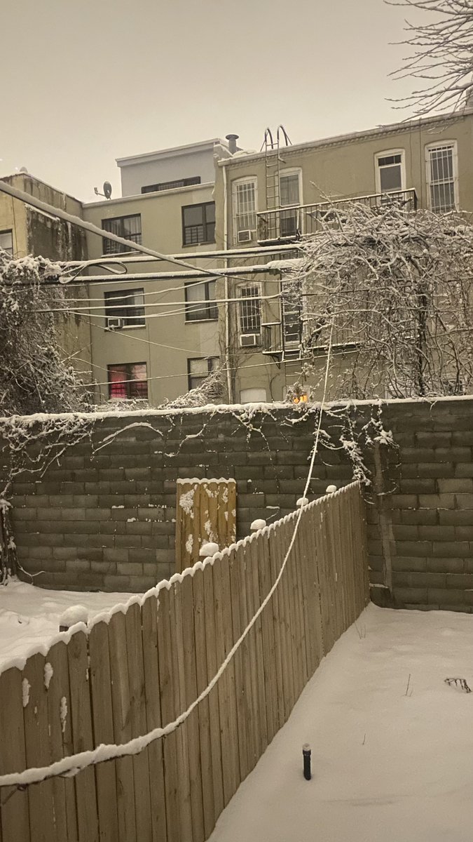 ctrlfreaq's tweet image. my day tomorrow and my backyard currently (it’s 3am) 🥰