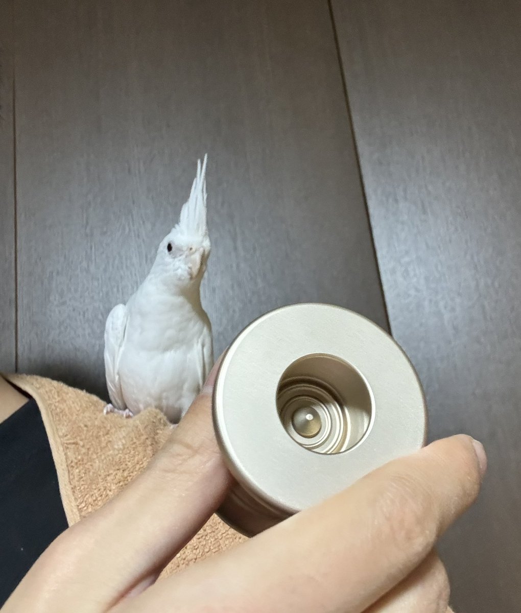 チャンマン帝国 (@chmn_44) / Posts / X