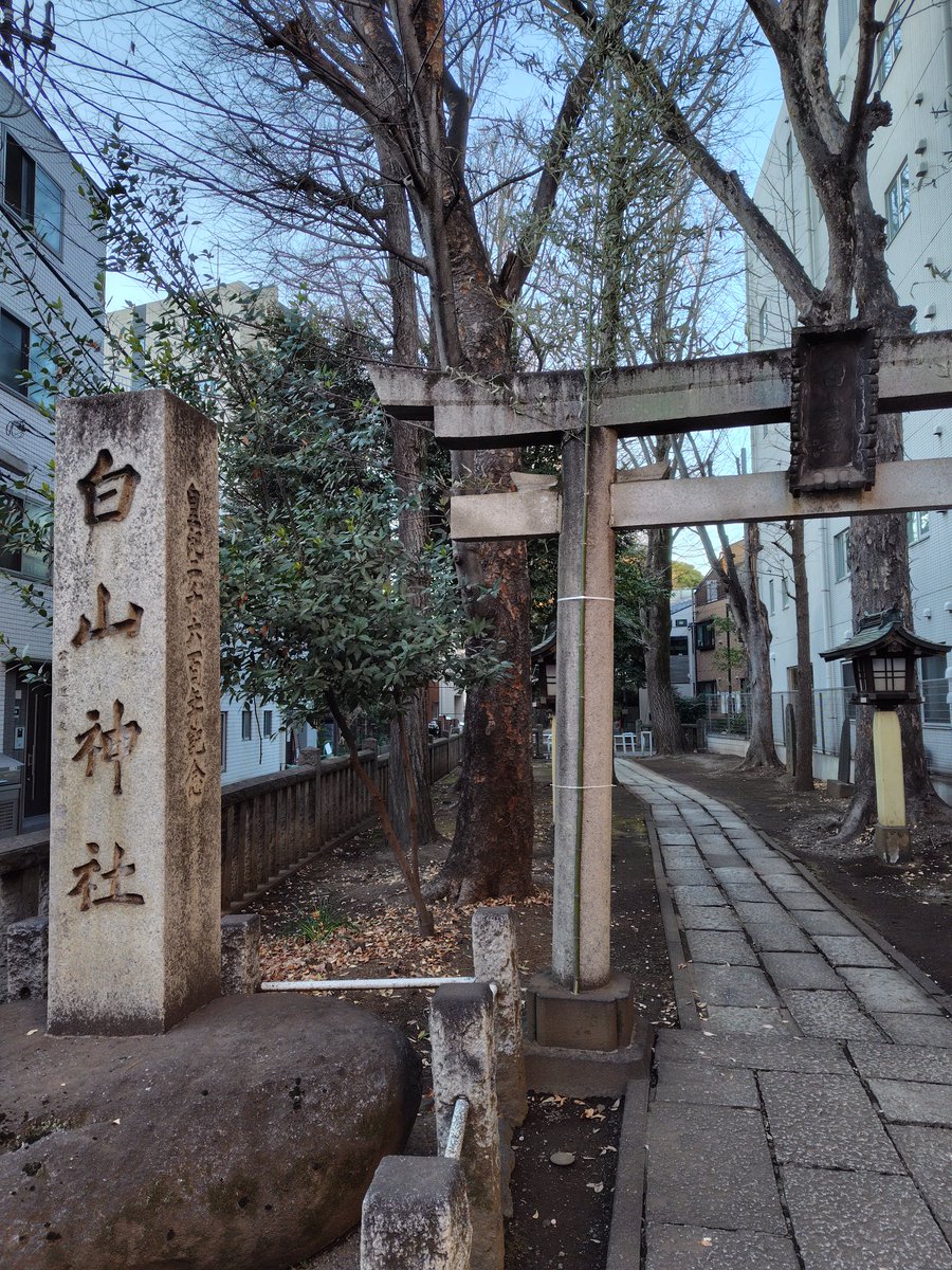 上野の健 (@nogamiken) / Posts / X