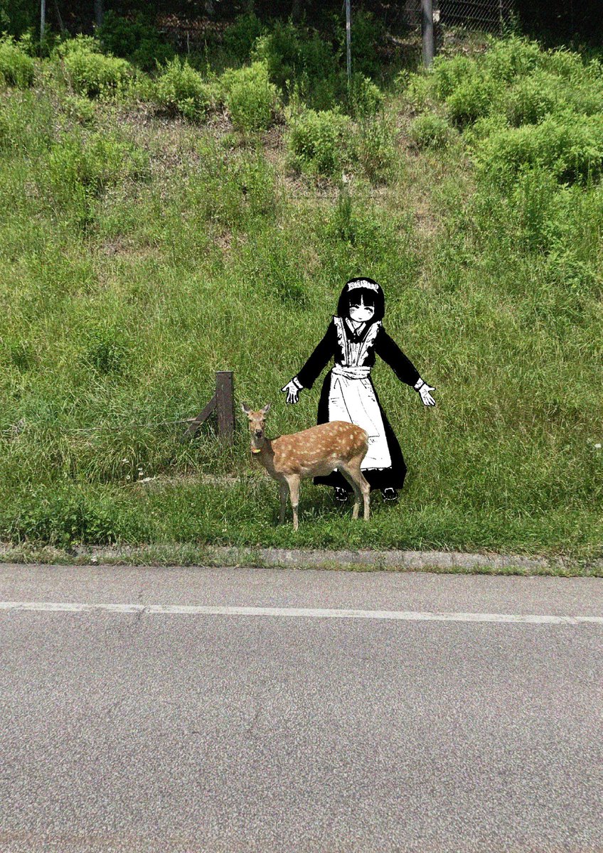 仕込む tweet media