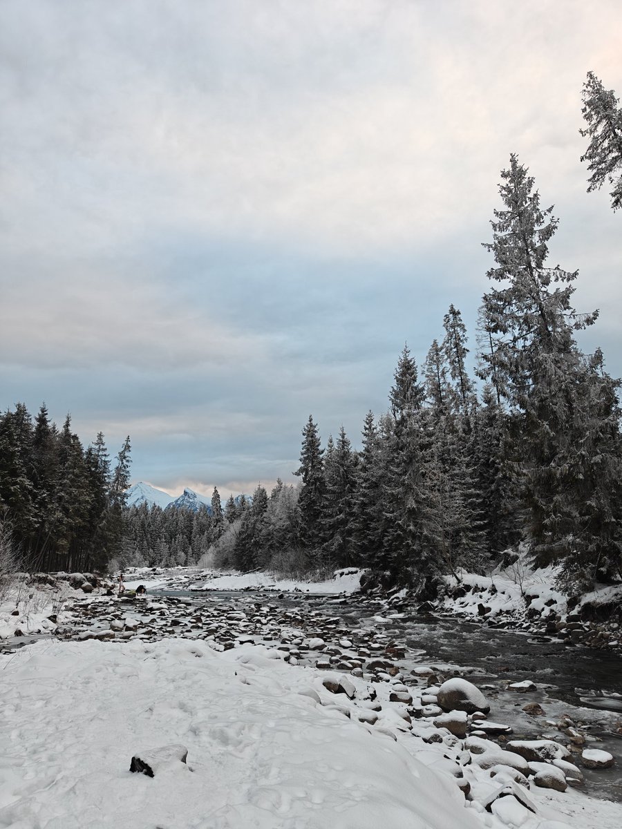 Mocni zawodnicy 🙈