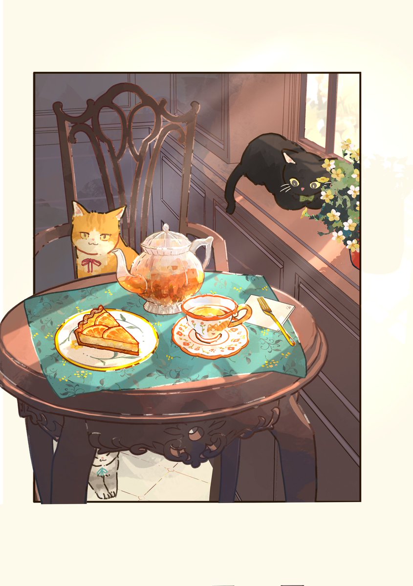 喫茶店の特等席☕️🐈
 #猫とコーヒーときどき紅茶