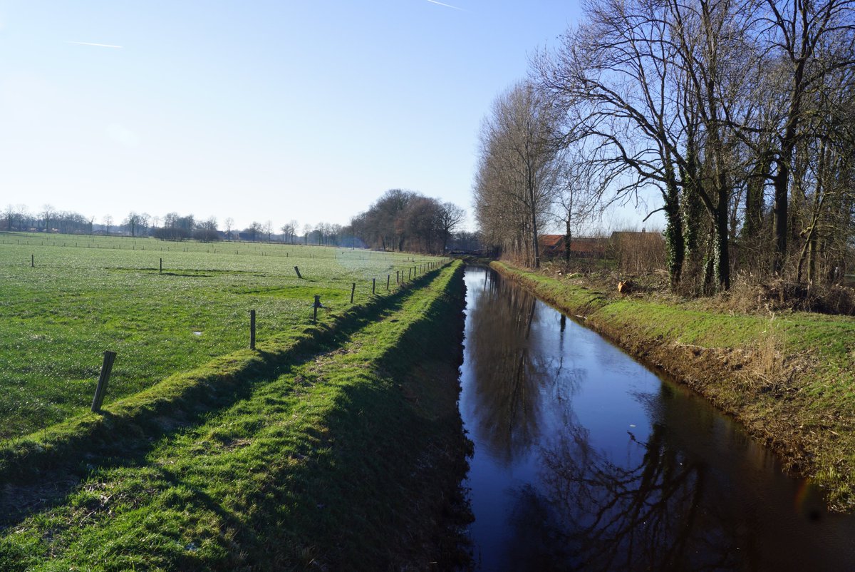 CLO (PBL) rekent ruim de helft van de stikstof in het oppervlaktewater toe aan de landbouw. En vertelt er niet bij dat extra bronnen, zoals natuurlijke kwel, op rekening van de landbouw zijn gezet. Waardoor de wateropgave voor de landbouw groter wordt.

stichtingagrifacts.nl/pbl-rekent-wat…