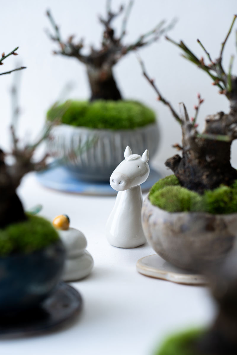 石木花|sekibokka (@sekibokka) / Posts / X