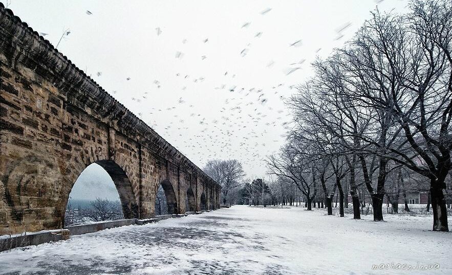 Катерина Галич tweet media