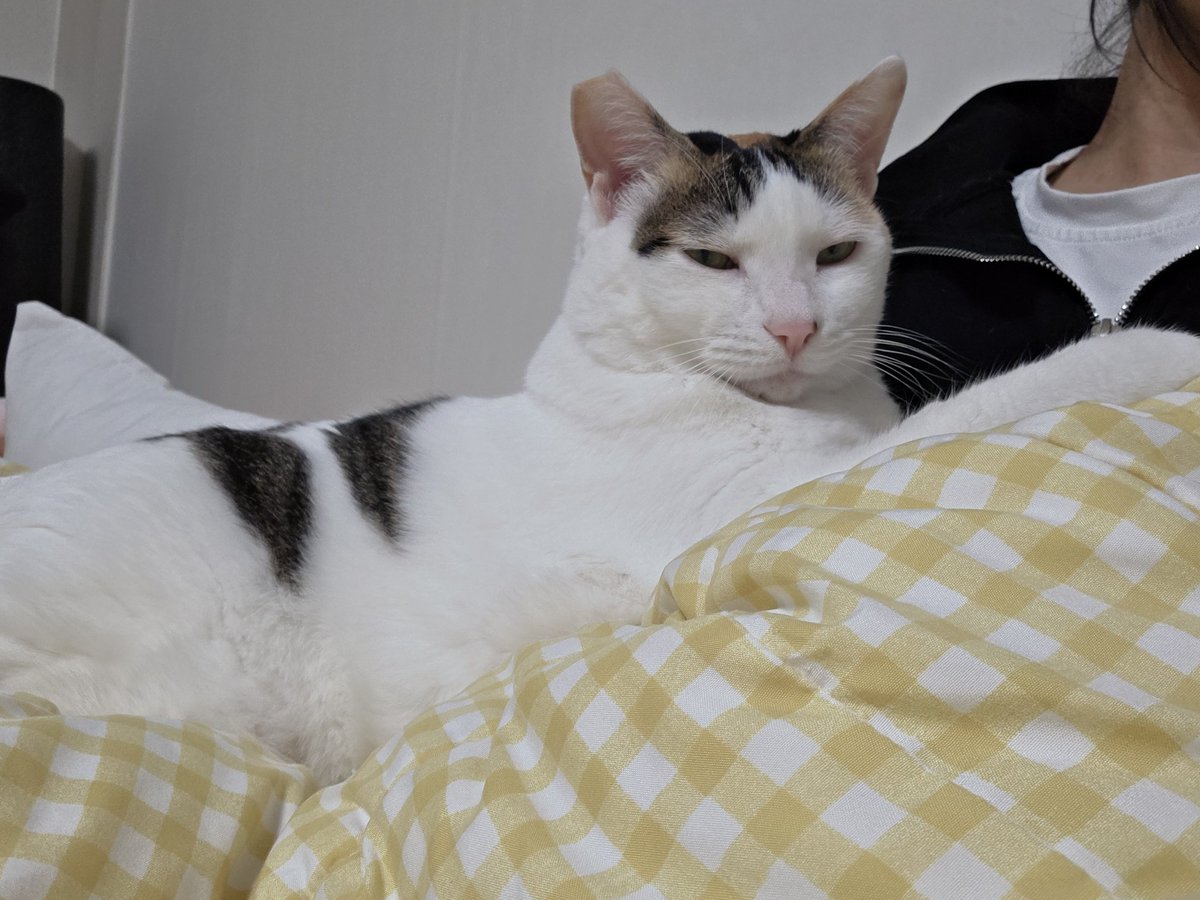 #레이와덩달이_덩달이