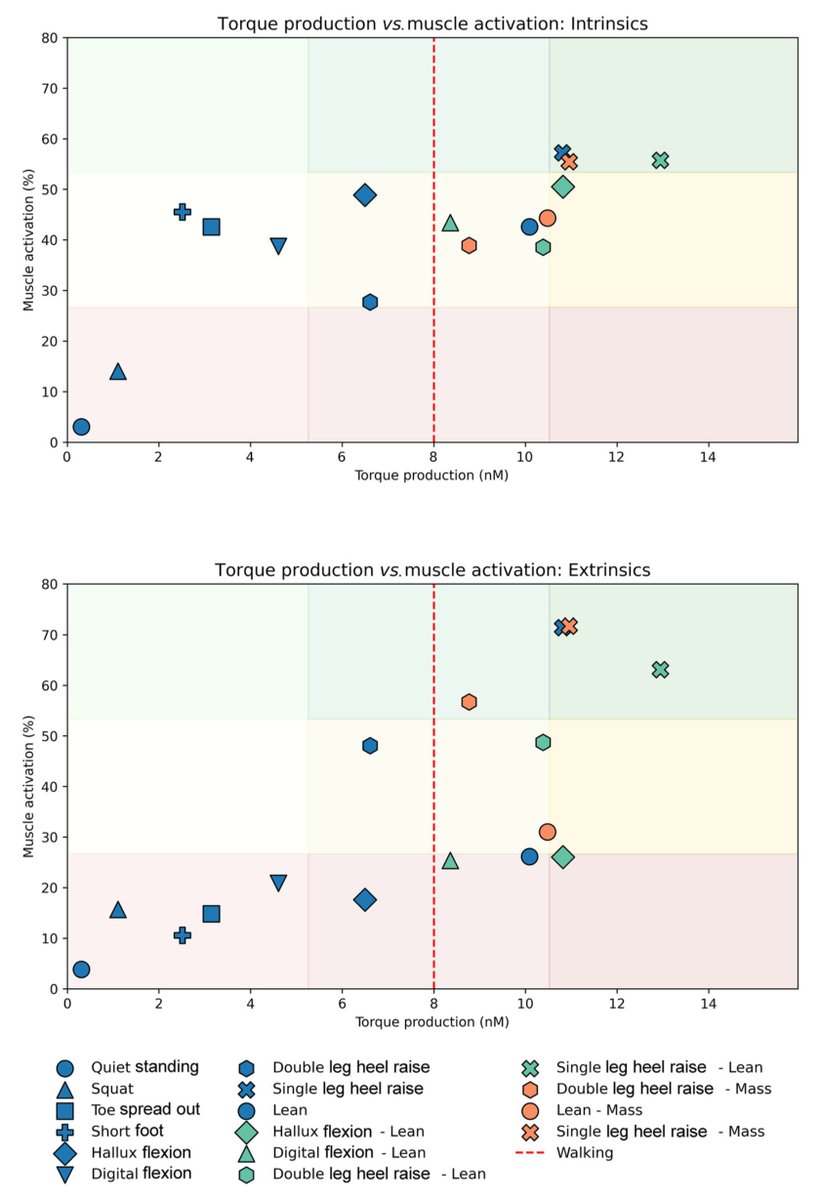 jb_morin's tweet image. 🦶 strengthening
very nice study: leaning forward and adding mass ⬆️⬆️foot muscles activity and torque output
Add this for richer foot-ankle strength work🔥🏋️‍♀️
Totally in line with our practice and recent training study proposal
📄sciencedirect.com/science/articl…