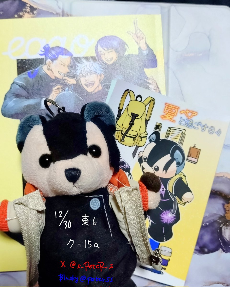 P助(鍵付きの時は承認してません) (@s_PeteR_s) / Posts / X