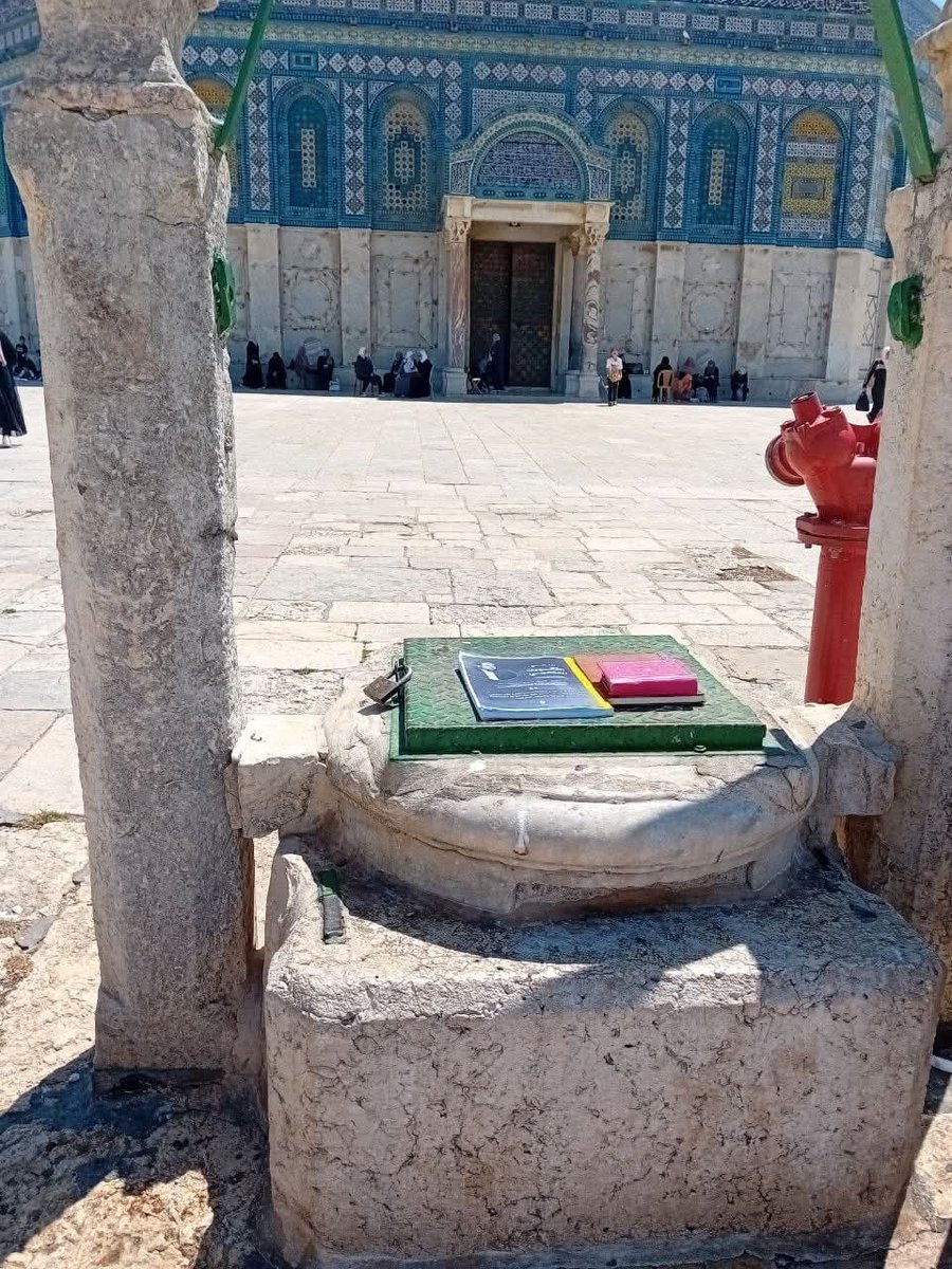 "في الجُبِ نحن فيا رباه أدركنا
لا الدلو جاء ولا السيارةُ التقطوا"
.....
لا العُربُ مرّوا ولا الشُهَمّ قد سألوا
لا الشرق اعتبروا وأمَّا الغرب فقد ركنوا
لغثاء قومٍ فيا رباه تلطّف بيوسفَ إذ تركه أخوته 
وحيدا فريدا يصارعُ الموتَ في غربته.