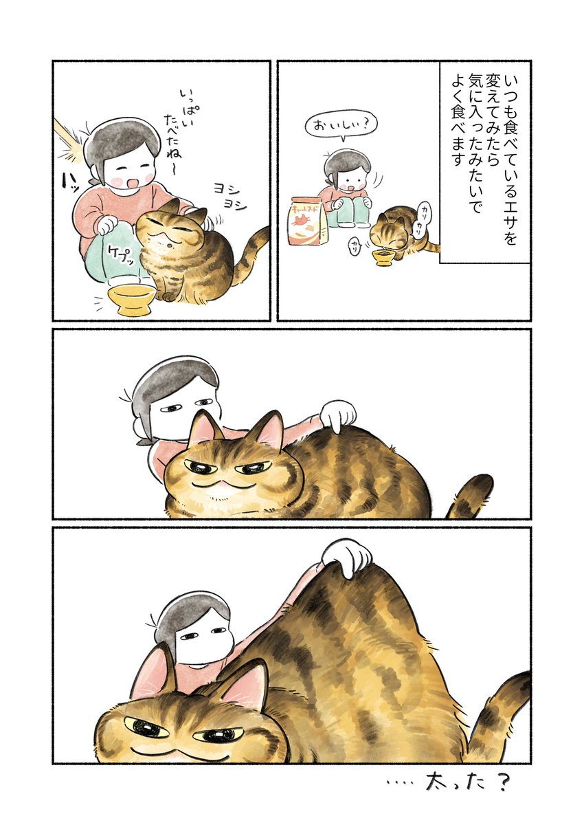ごはん美味しかったね🍚 