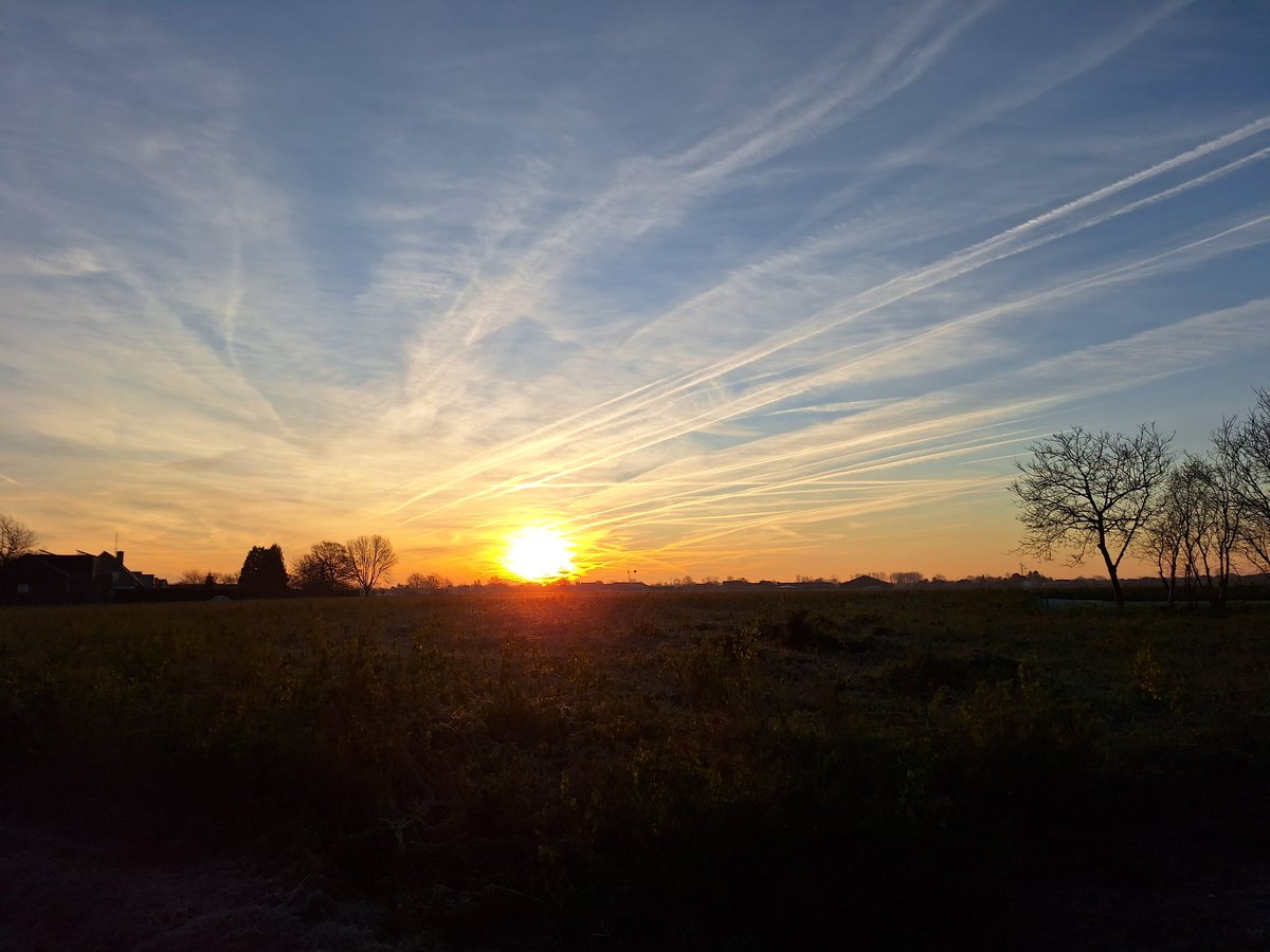 Susanne Verberk tweet media