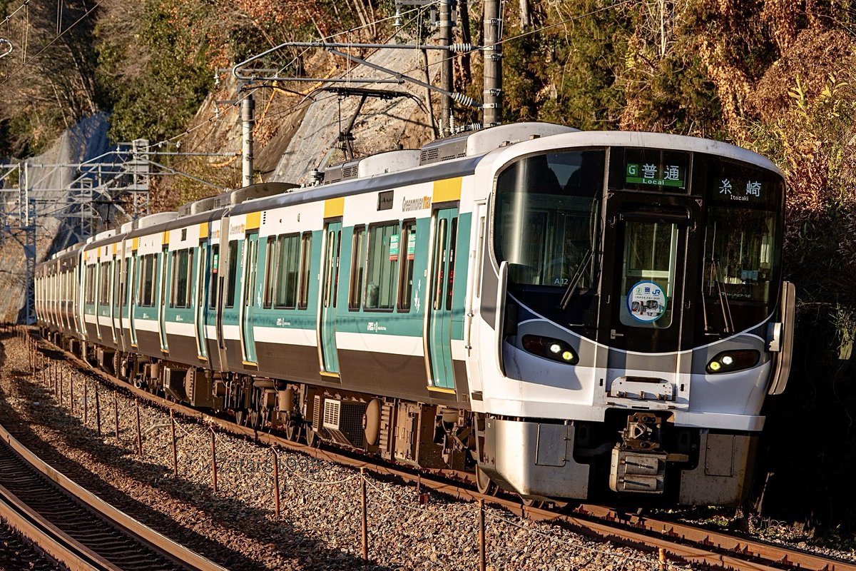 🎏赤ドRed(アカドレッド)🐮 (@a941028a) / Posts / X