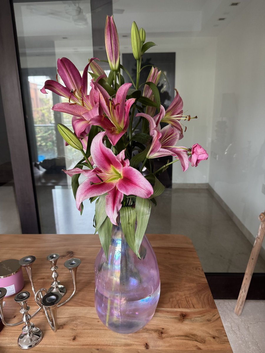 jellybeancandi's tweet photo. my beautiful lilies and my beautiful breakfast in my beautiful home https://t.co/FVGhub7ZwF