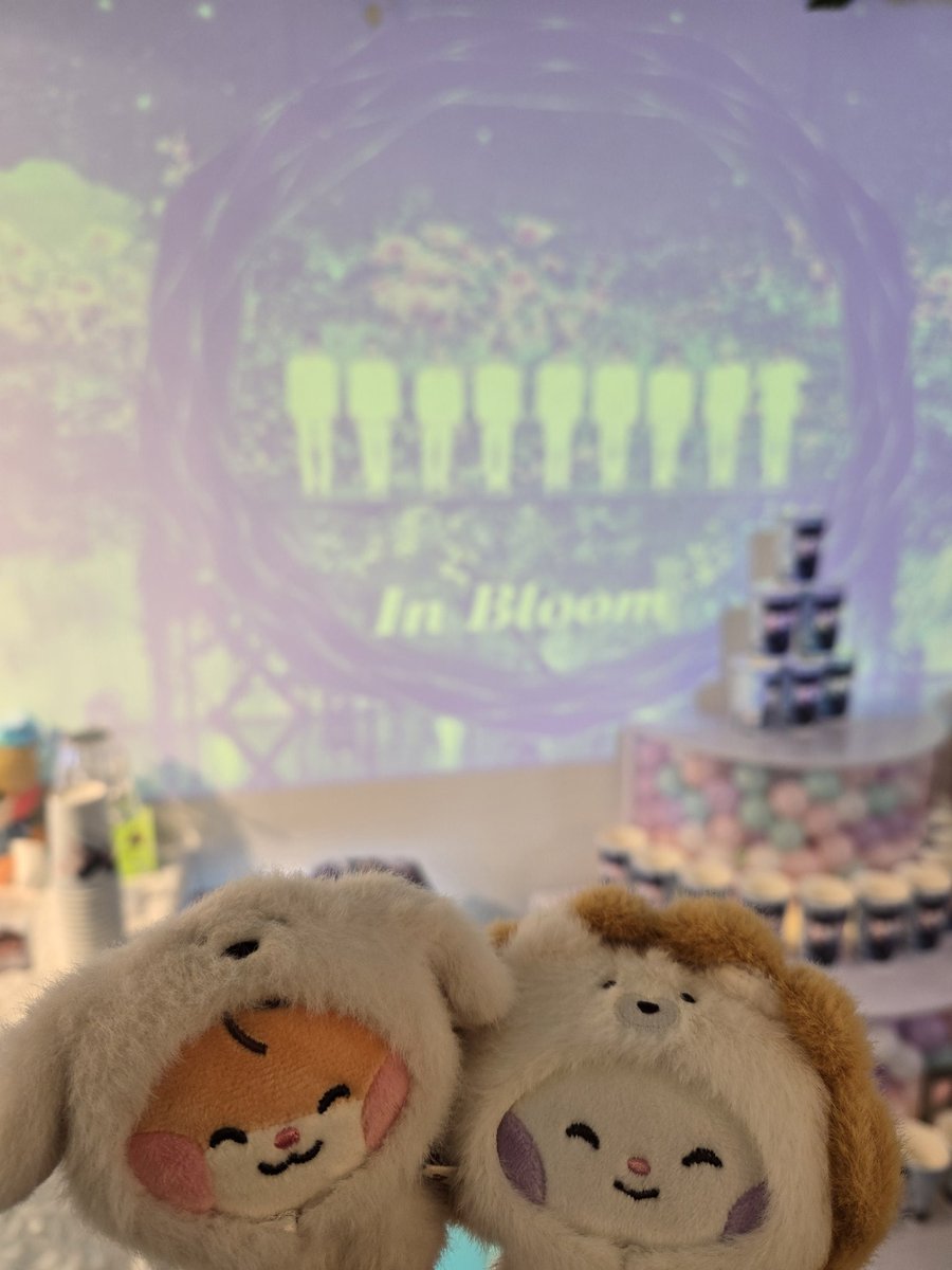 ρɛтιтᕱᕱʏʋʝιи tweet media