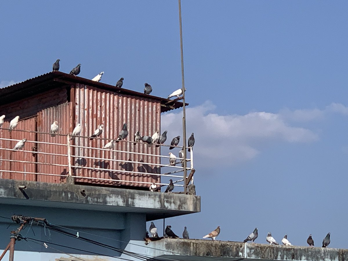 muktw jwibwnanandwa.