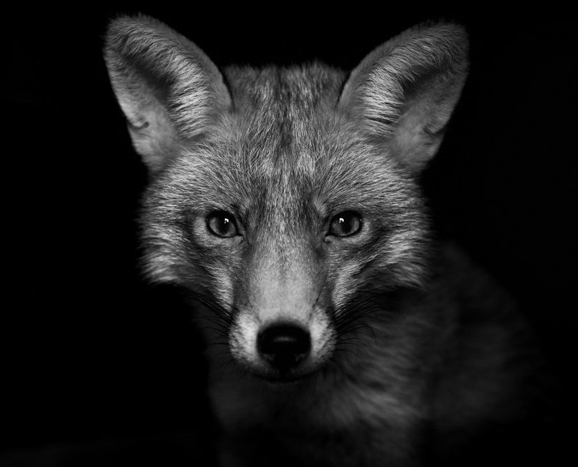 Richard Bowler tweet media