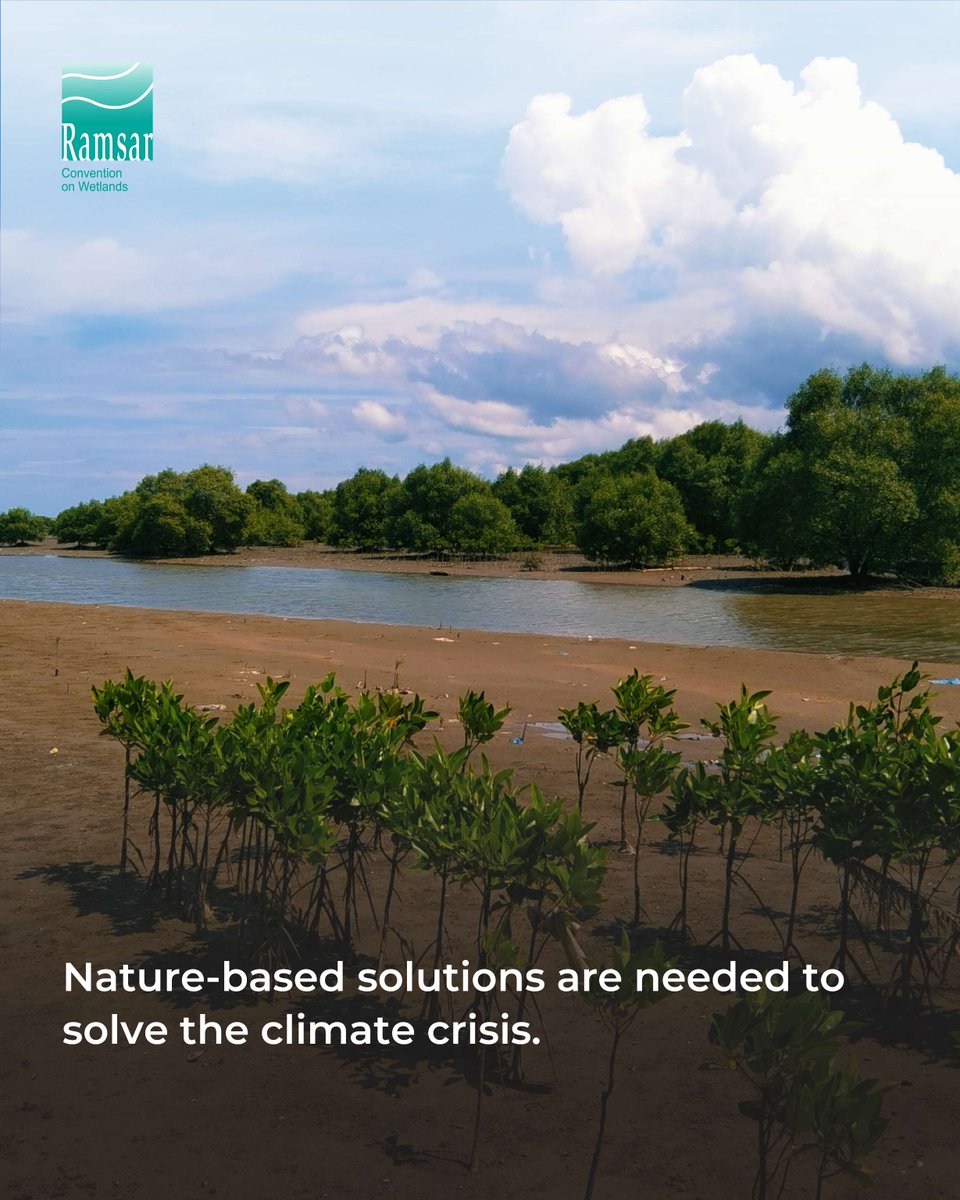 Whether it’s food and water security, climate change, human health, disaster risk or economic development, nature can help us. 

Nature-based Solutions refer to a wide range of actions that address societal challenges through the protection, sustainable management and restoration