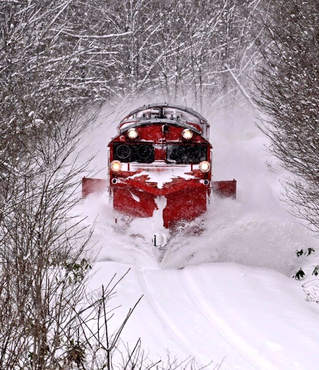 ひろりんページ ひろりん△12/26～12/30 北海道 (@hiroring0323) / Posts / X