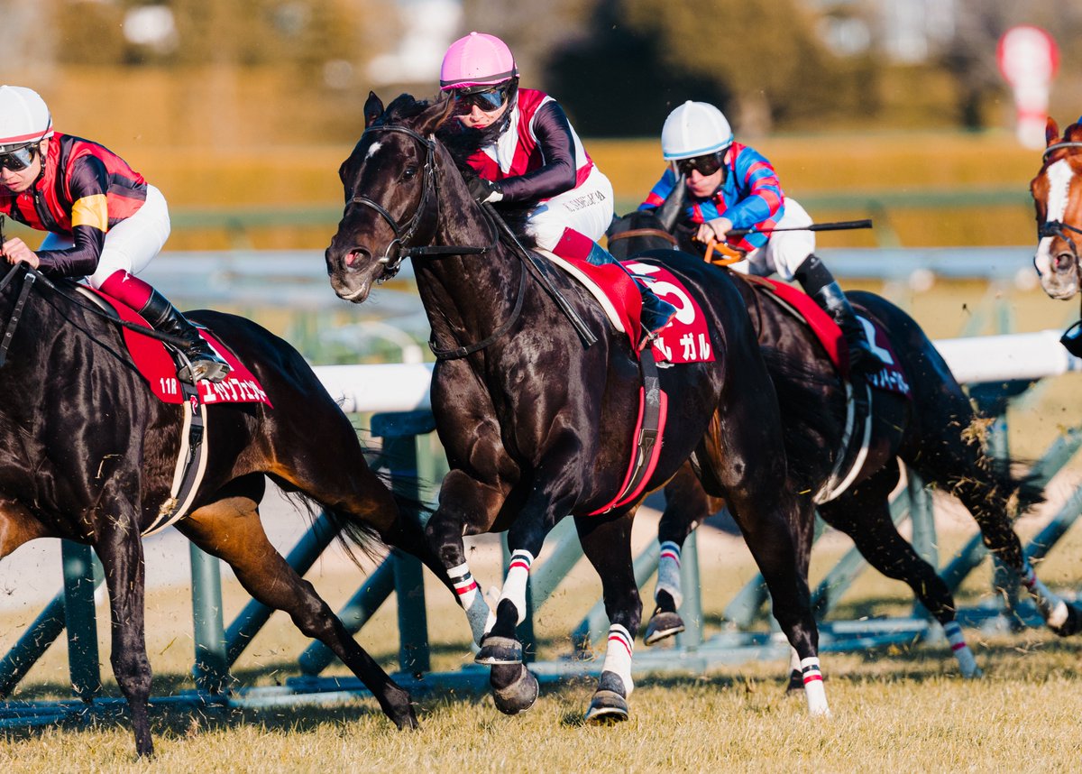 のまうま (@2shnTupuwN20392) / Posts / X