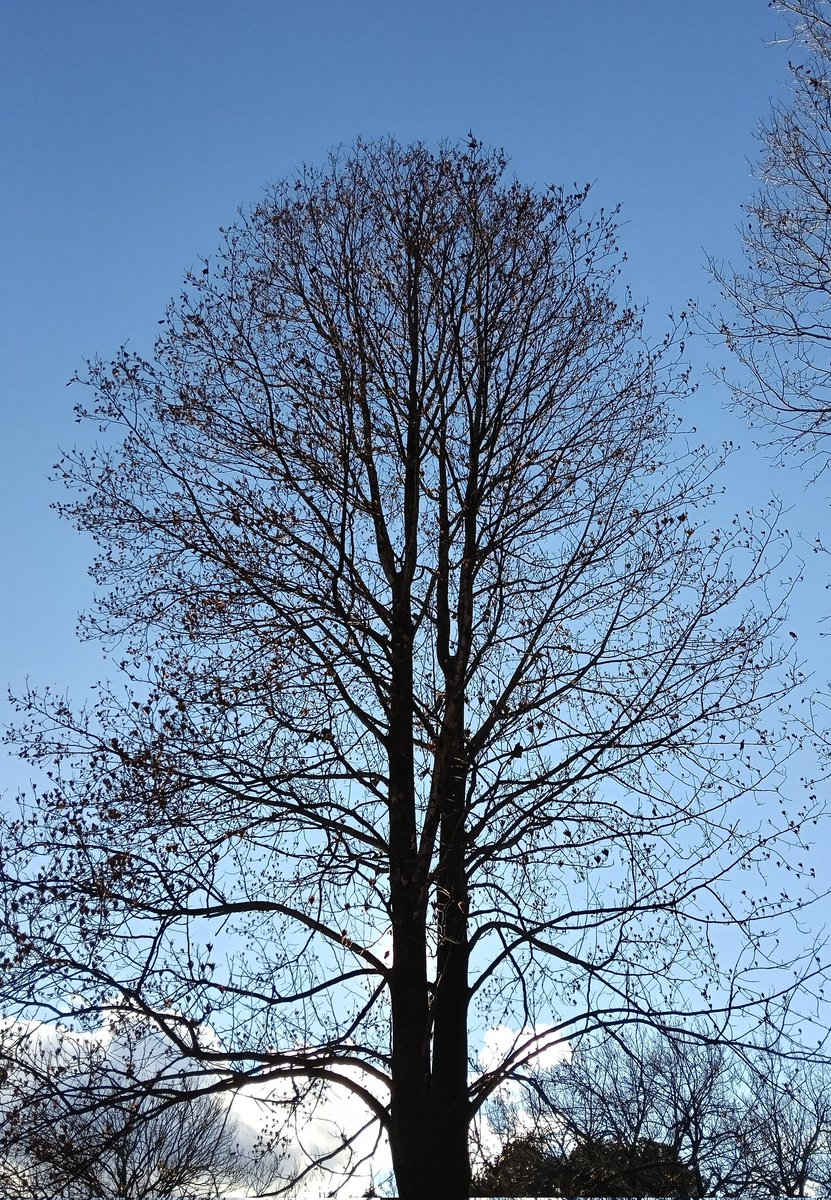 もっさん (@mo301846465) / Posts / X