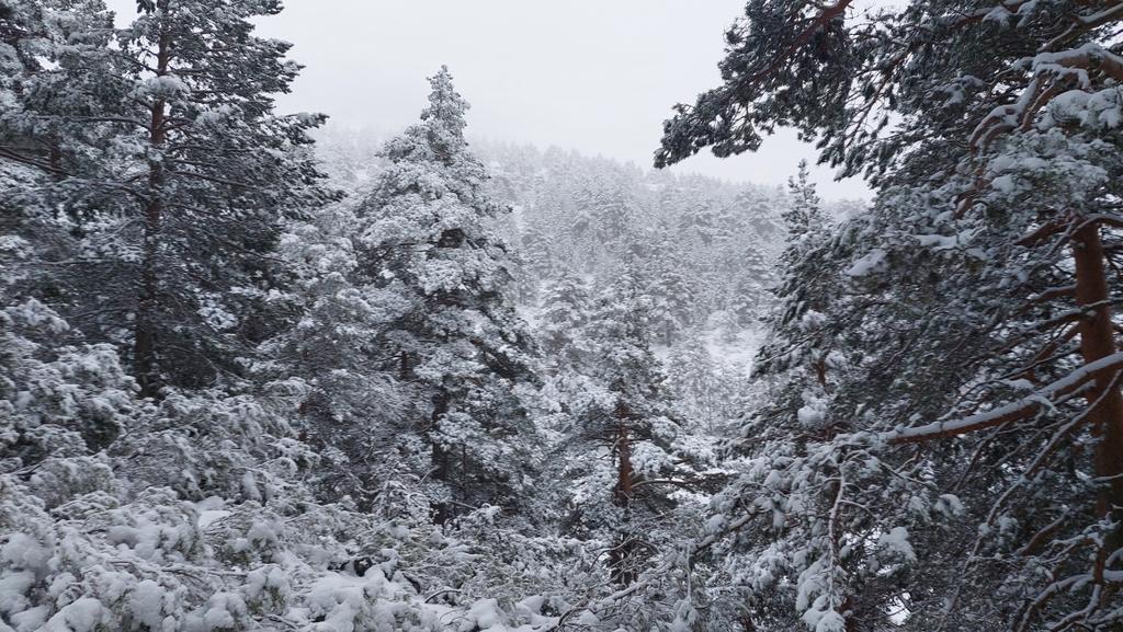 Ahora. Cota casi 1800