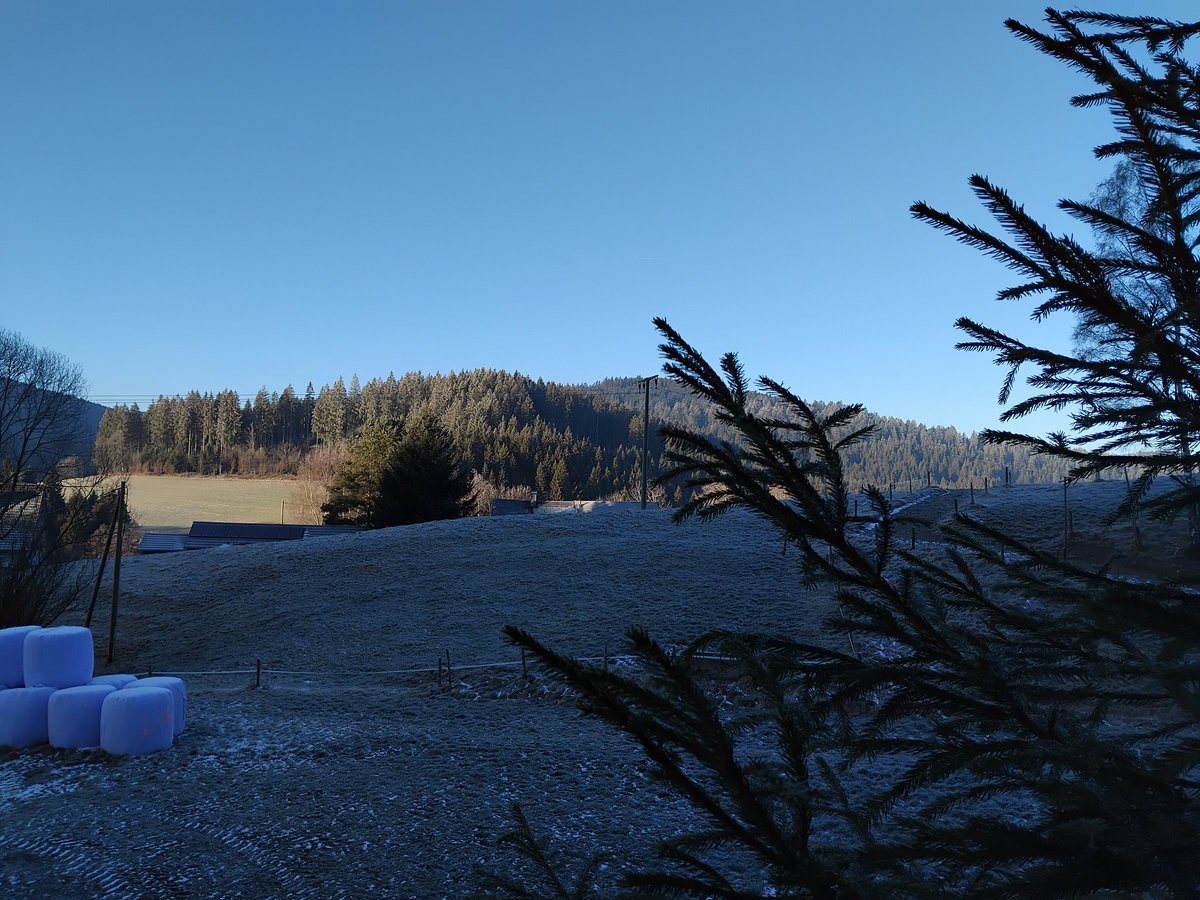 frauhasenklee's tweet photo. Direkt nach den #Weihnachtsfeiertagen kaum Schnee, aber trotzdem winterlich reizvoll, bei minus 5 Grad heute früh.
#Hochschwarzwald, #Dezember 🎄 https://t.co/deytWYAelL