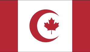 Dr. Jimmy Yam tweet media