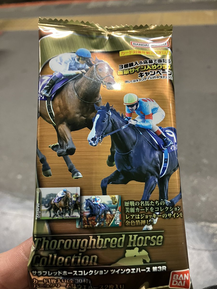 帰りがけに例のアレ、サラブレッドホースコレクションをいくつか購入